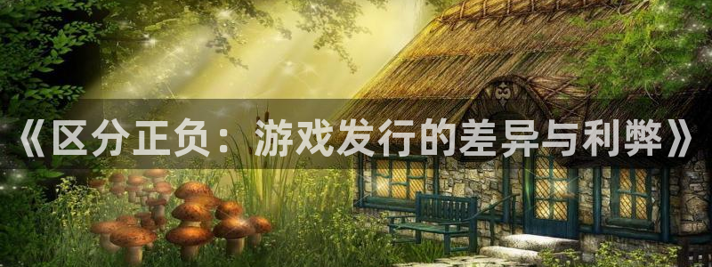 广东bbin视讯电子商务有限公司电话：《区分正负：游戏发行的差异与利弊》