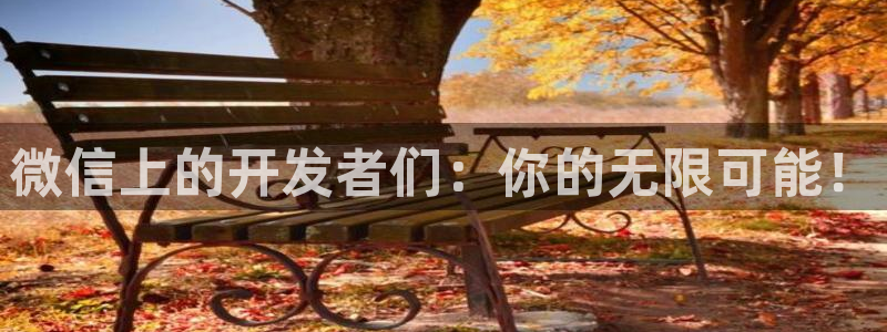 bbin视讯子文化：微信上的开发者们：你的无限可能！