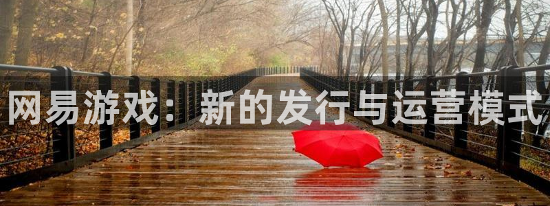 bbin视讯官网代理注册地址：网易游戏：新的发行与运营模式