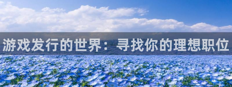 bbin视讯官网登录注册账号是什么：游戏发行的世界：寻找你的理想职位