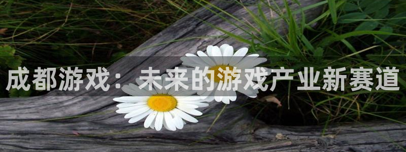 bbin视讯官网登录注册不了：成都游戏：未来的游戏产业新赛道