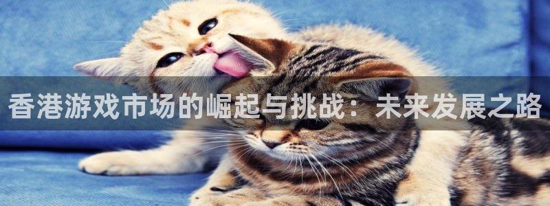 bbin视讯官网登录注册不了怎么回事：香港游戏市场的崛起与挑战：未来发展之路