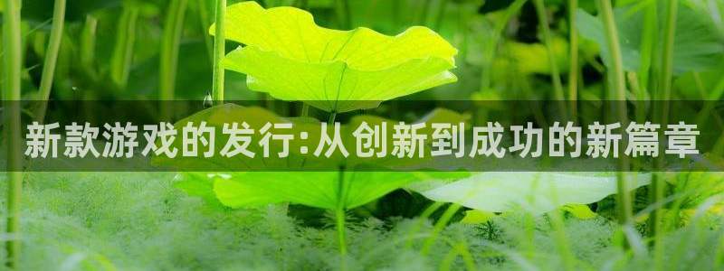 广东bbin视讯电商bruno：新款游戏的发行:从创新到成功的新篇章