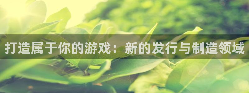 bbin视讯子猫图片：打造属于你的游戏：新的发行与制造领域