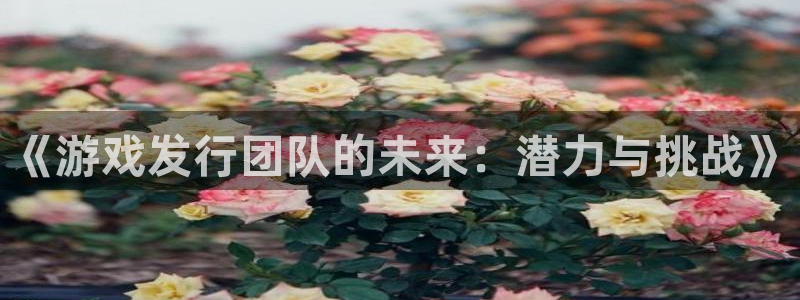 bbin视讯集团是什么企业：《游戏发行团队的未来：潜力与挑战》