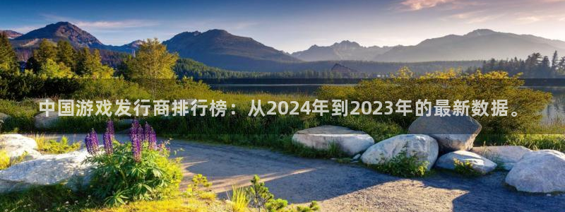 bbin视讯子文化：中国游戏发行商排行榜：从2024年到2023年的最新数据。