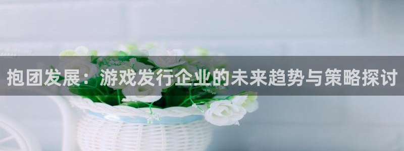bbin视讯主管：抱团发展：游戏发行企业的未来趋势与策略探讨