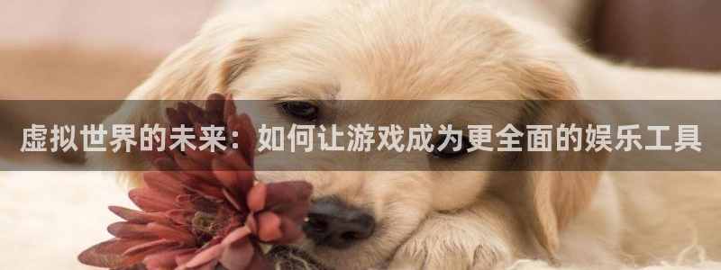 bbin视讯官网注册平台怎么注册不了：虚拟世界的未来：如何让游戏成为更全面的娱乐工具