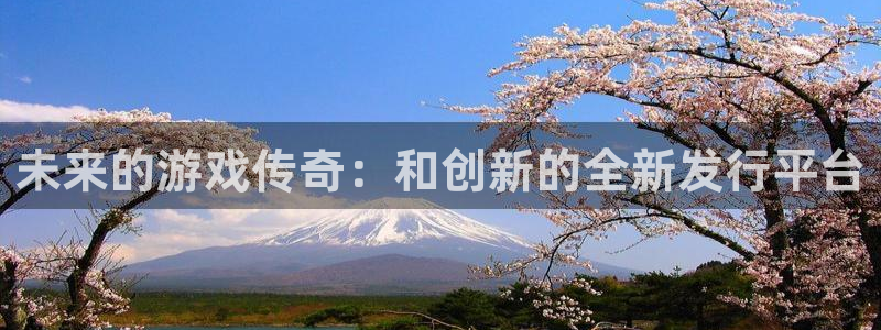 bbin视讯官网平台怎么样可靠吗：未来的游戏传奇：和创新的全新发行平台