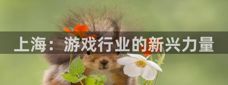 bbin视讯子最好看的小说：上海：游戏行业的新兴力量