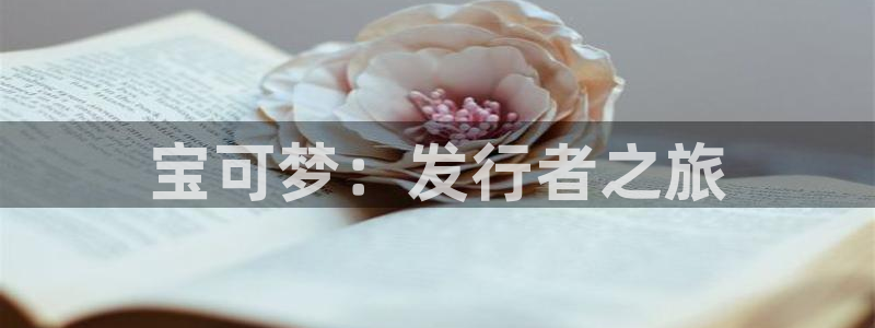 bbin视讯官网主营业务